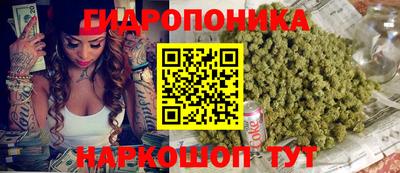 молекула духа Кохма