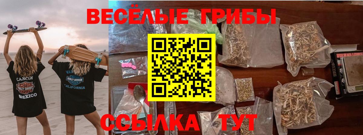 Псилоцибиновые грибы прущие грибы Богданович